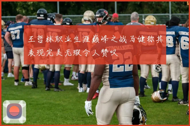王哲林职业生涯巅峰之战马健称其表现完美无瑕令人赞叹